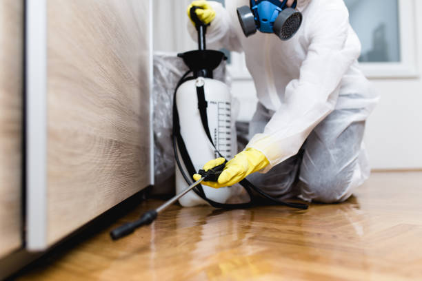 Best Affordable Pest Control Services  in New Brockton, AL