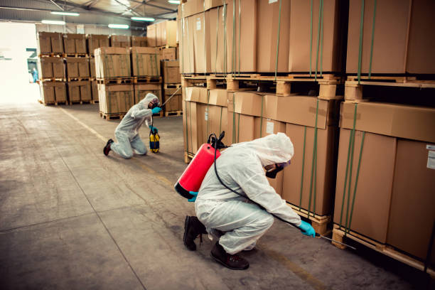 Best Pest Removal Services  in New Brockton, AL