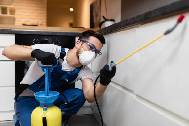 Professional Pest Control in New Brockton, AL