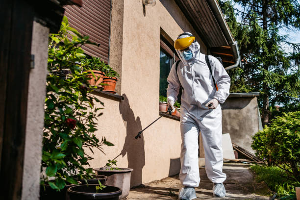 Best Local Pest Control Services  in New Brockton, AL
