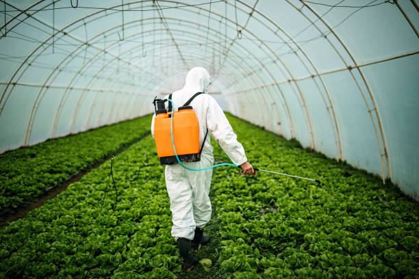 Best Best Pest Control Companies  in New Brockton, AL
