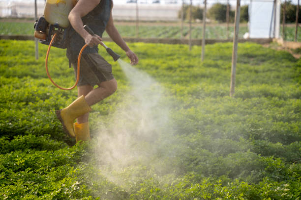Best Pest Control for Businesses  in New Brockton, AL