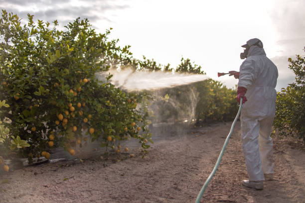 Best Best Pest Control Near Me  in New Brockton, AL