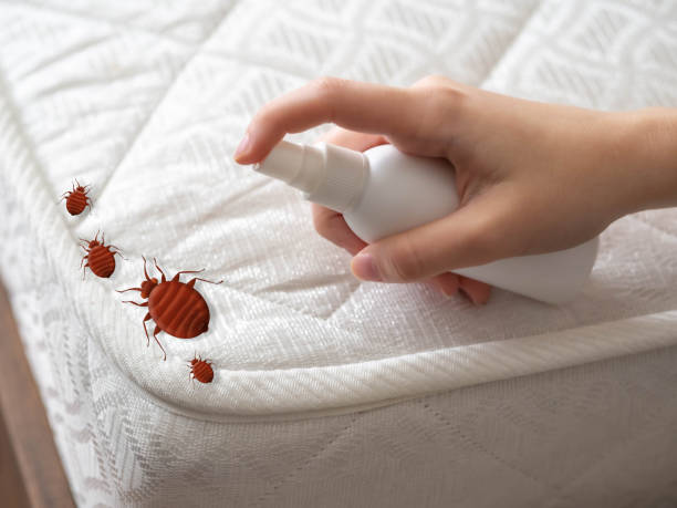 Best Pest Control Near Me in New Brockton, AL