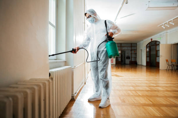 Best Flea Control Services  in New Brockton, AL