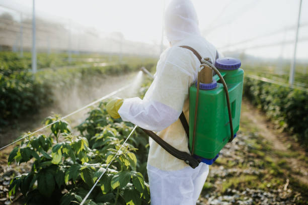 Best Wildlife Control Services  in New Brockton, AL